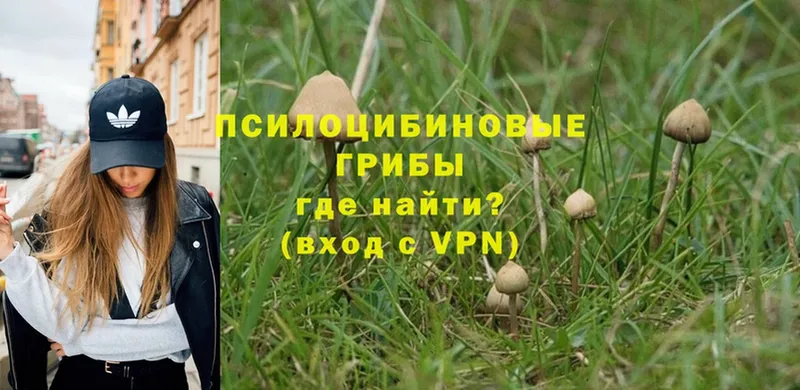 Псилоцибиновые грибы Magic Shrooms  Клинцы 